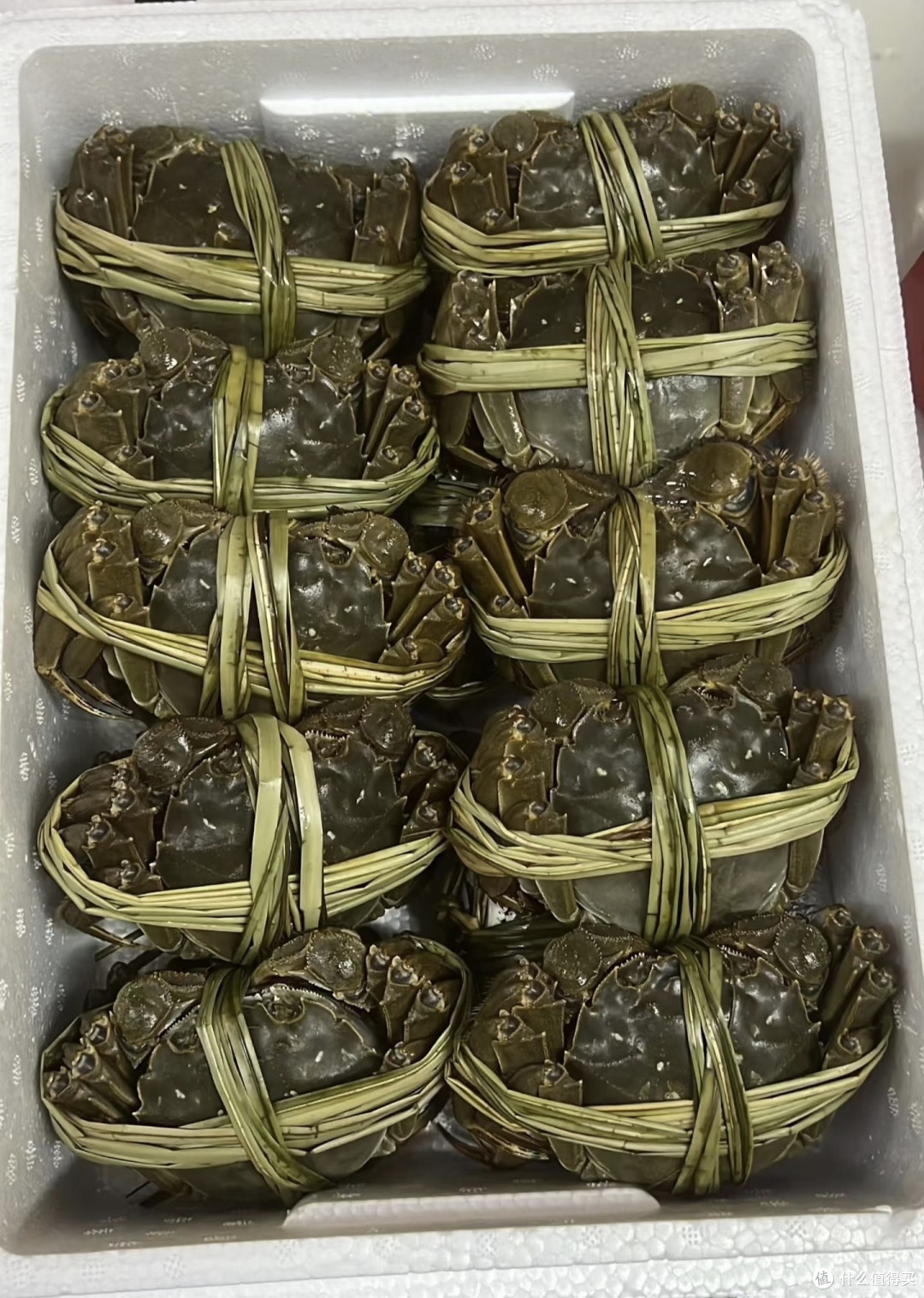 入秋尝鲜清单!这三样江浙沪水产我能吃一整个秋天。建议务必品尝