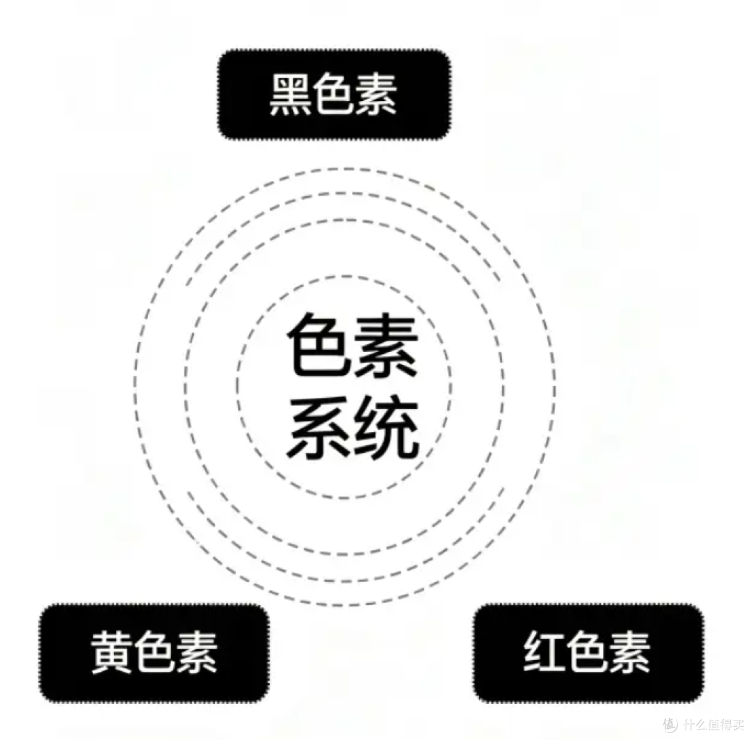 敏肌美白别再被“猛药才见效”PUA了,谷雨净白瓶稳到离谱!