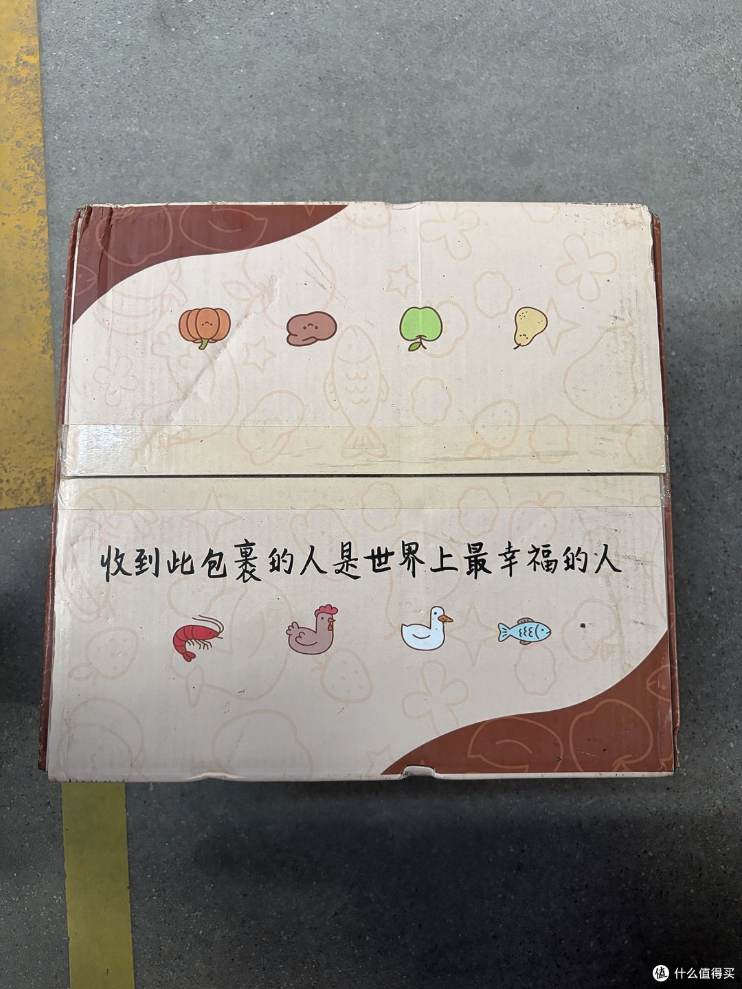 养猫用品长期损耗与更换指南