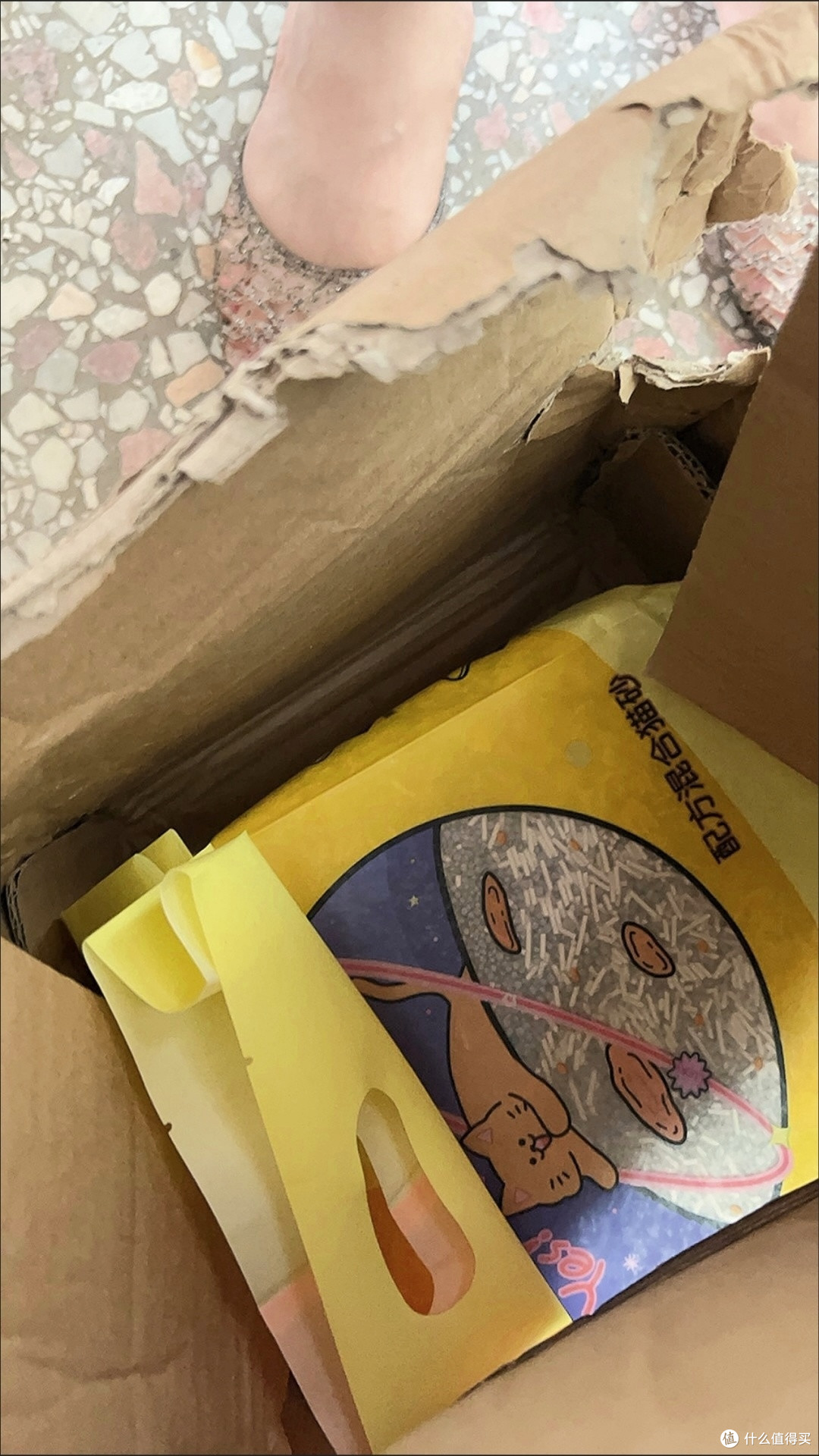 养猫用品长期损耗与更换指南