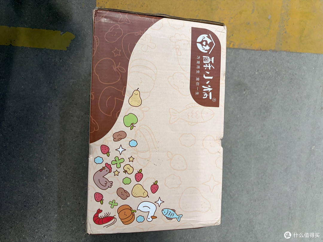 养猫用品长期损耗与更换指南