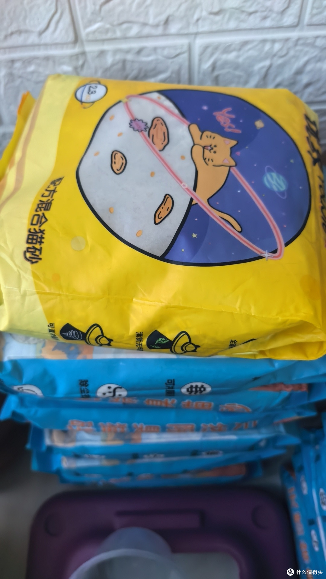 科学规划猫咪用品维护与更换