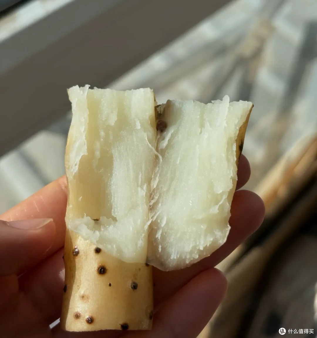 9月应季蔬菜,好吃爽吃,胃口大开