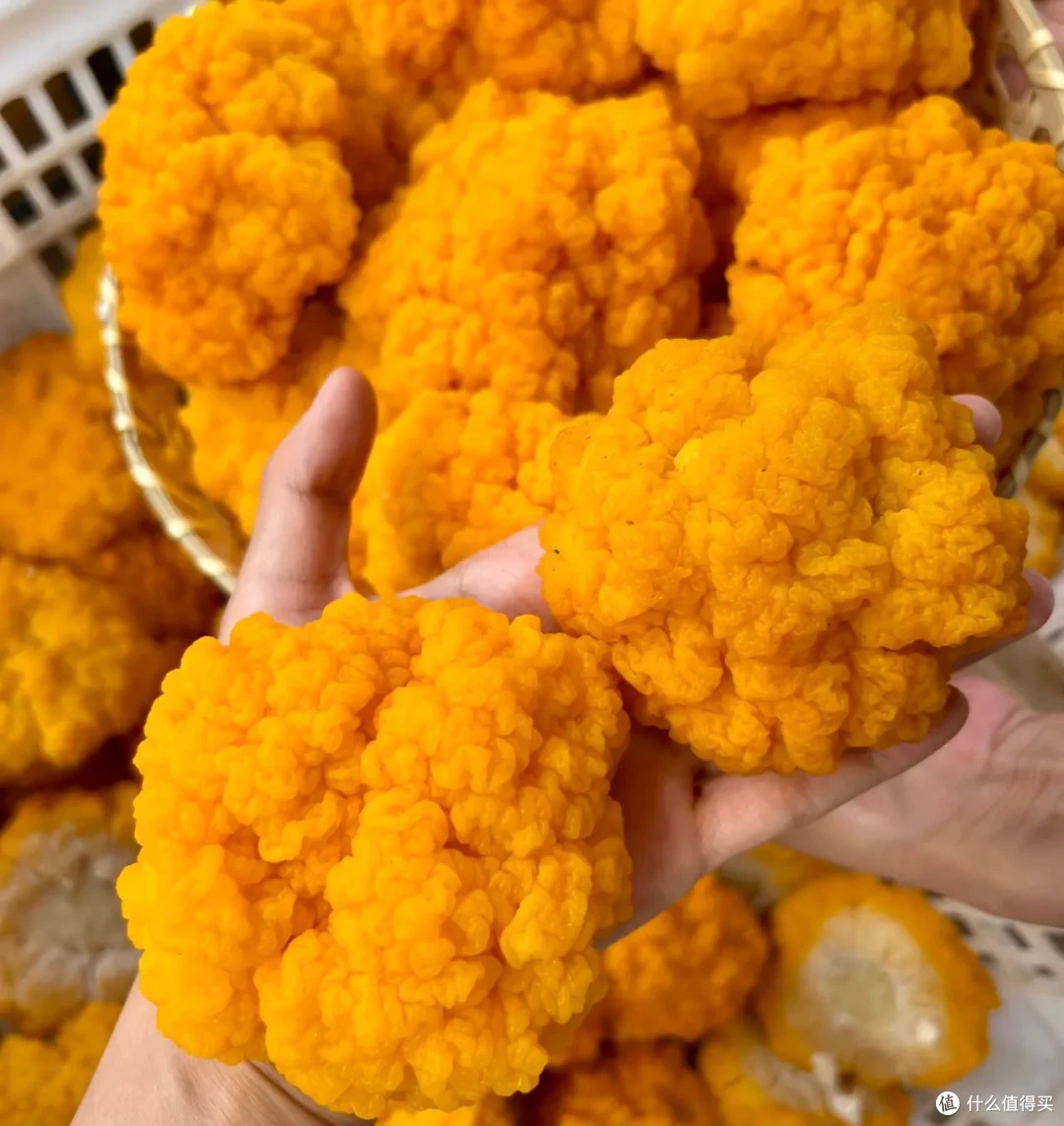 9月应季蔬菜,好吃爽吃,胃口大开
