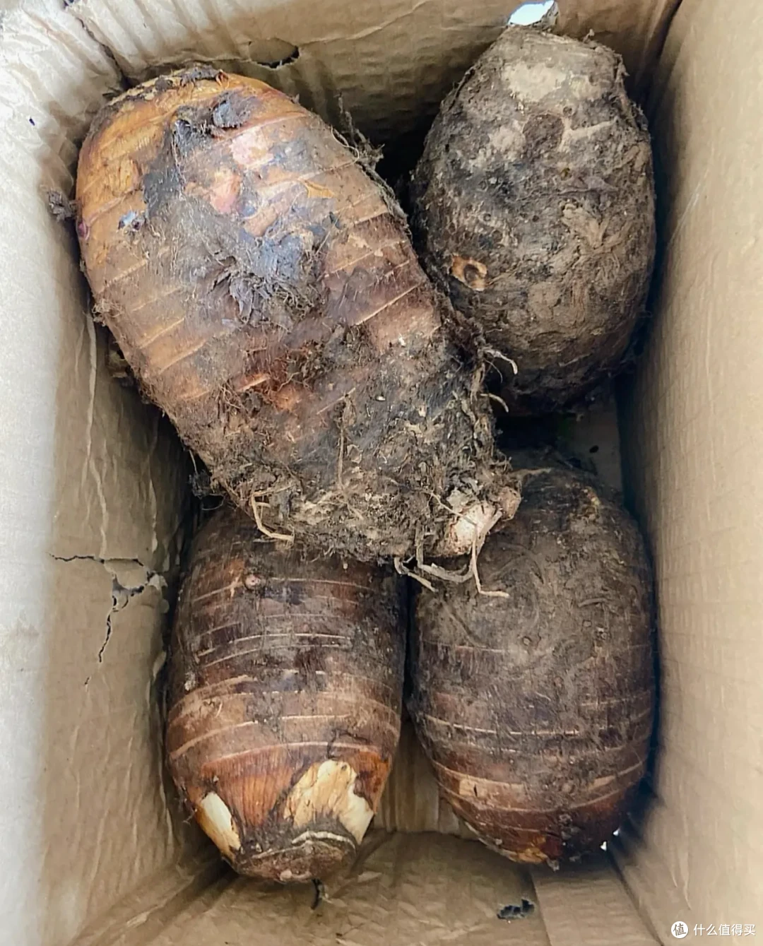 9月应季蔬菜,好吃爽吃,胃口大开