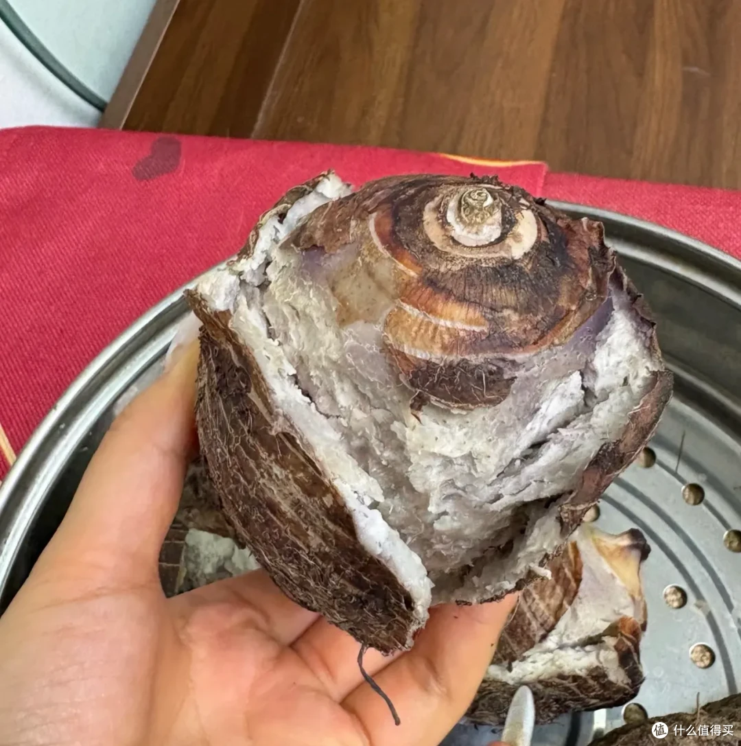 9月应季蔬菜,好吃爽吃,胃口大开