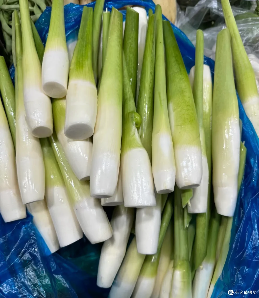 9月应季蔬菜,好吃爽吃,胃口大开