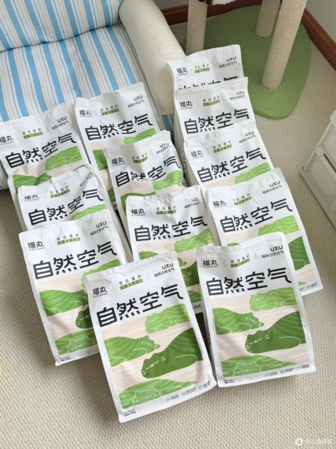 3款热门猫砂长期实测,优缺点和平替选择
