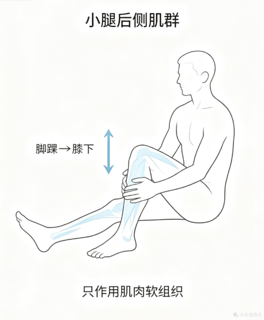 小腿腓肠肌、比目鱼肌按摩