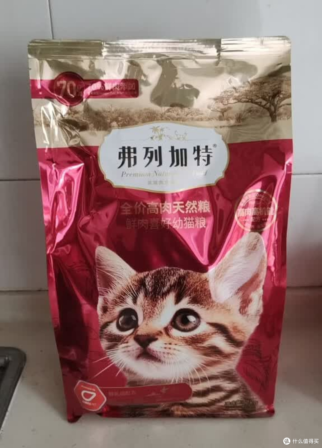 幼猫成猫混喂？难怪主子虚胖还软便