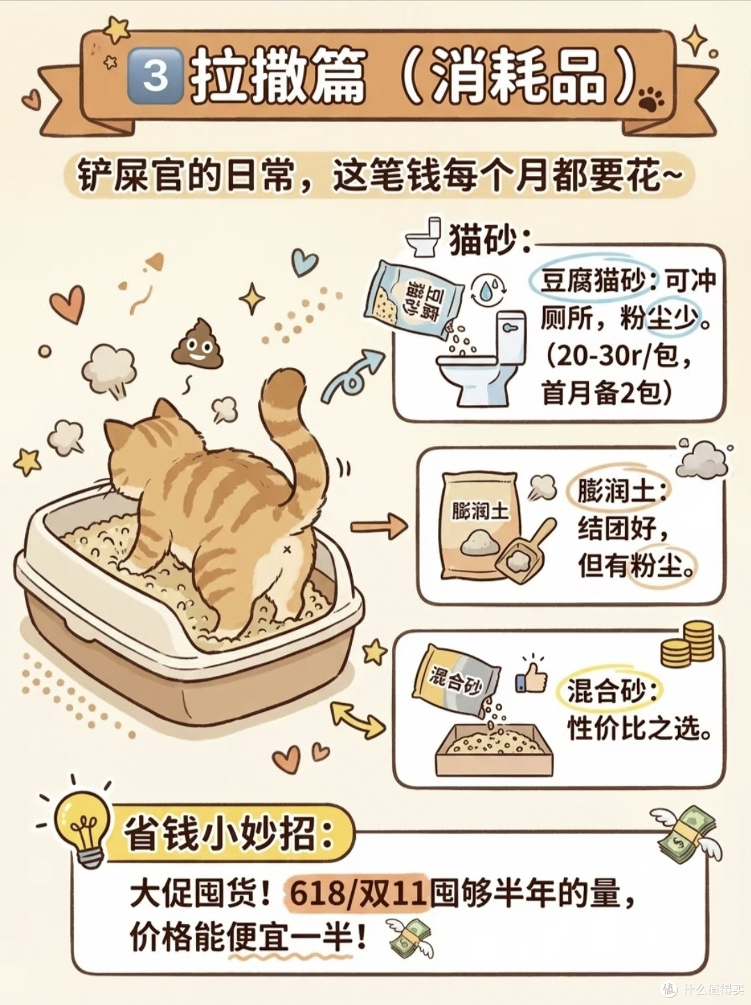 新手养猫真实账本|算清前期开销,再把小猫接回家