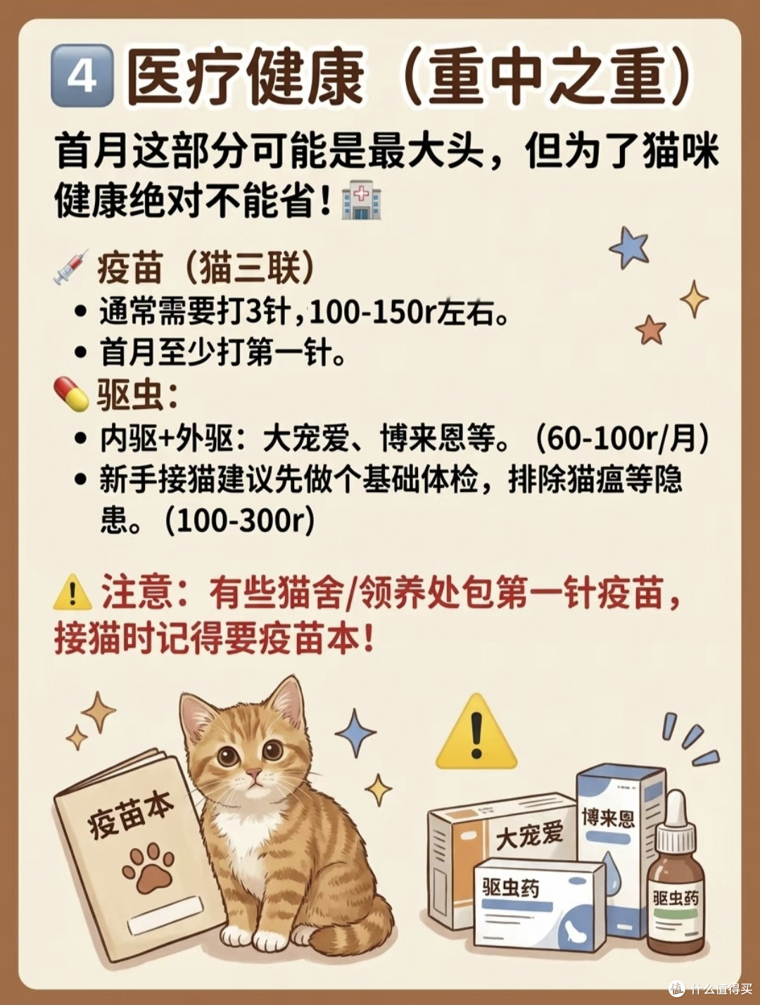 新手养猫真实账本|算清前期开销,再把小猫接回家