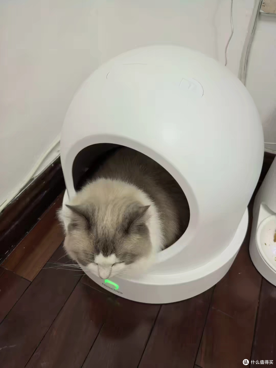 出差三天,猫没生气我也没焦虑,多得这个智能冷暖宠物窝