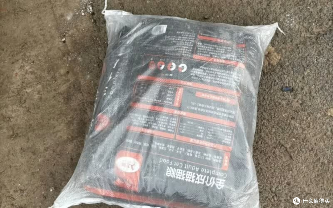 打工人实测高性价比成猫粮