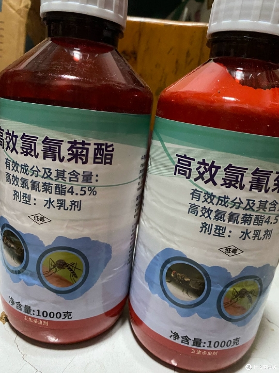 花盆里总有蚂蚁爬来爬去?别急着乱喷药,先搞懂怎么治本