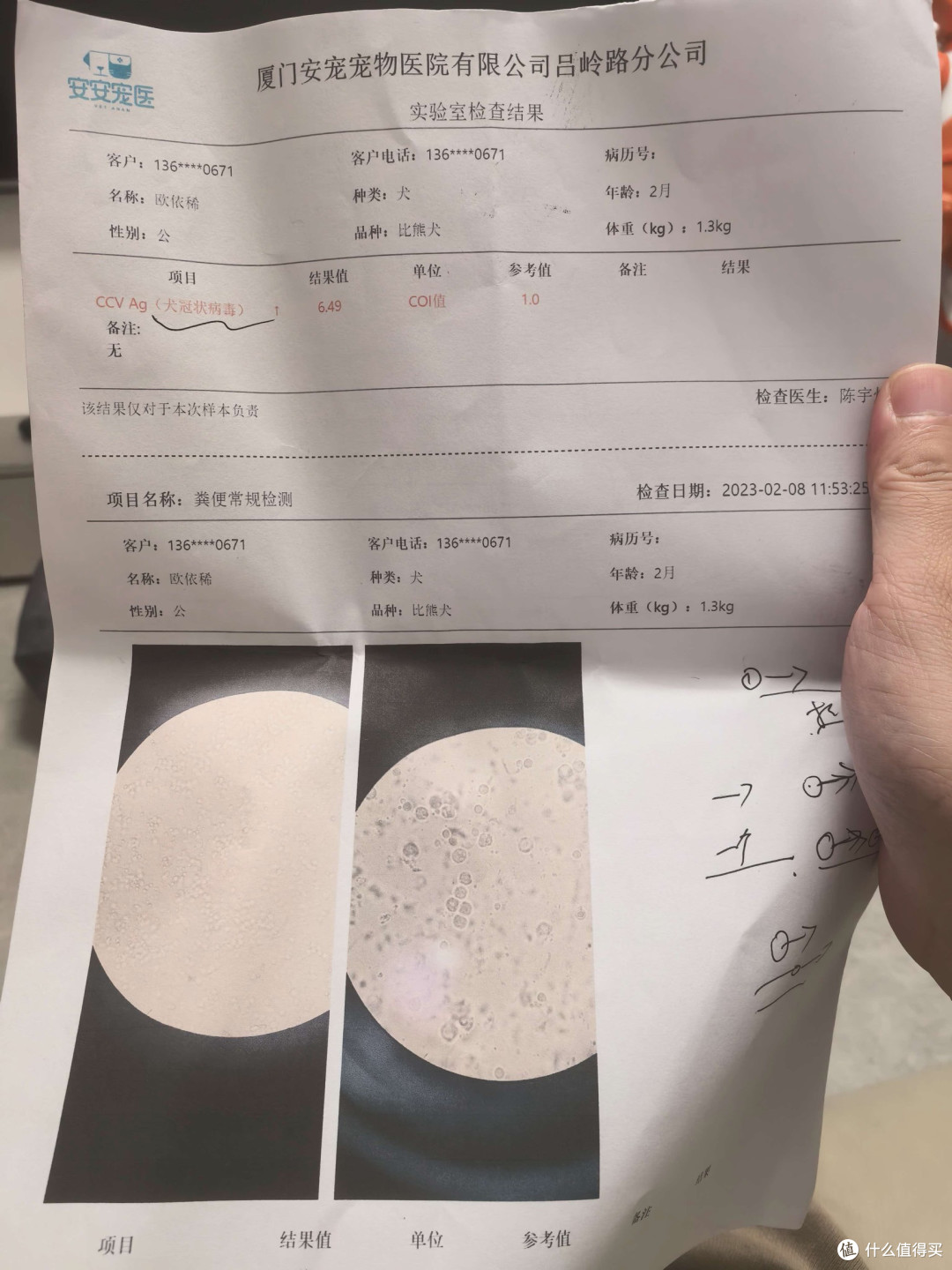 养狗10年踩过的坑,全写在这了|新手养宠避坑指南