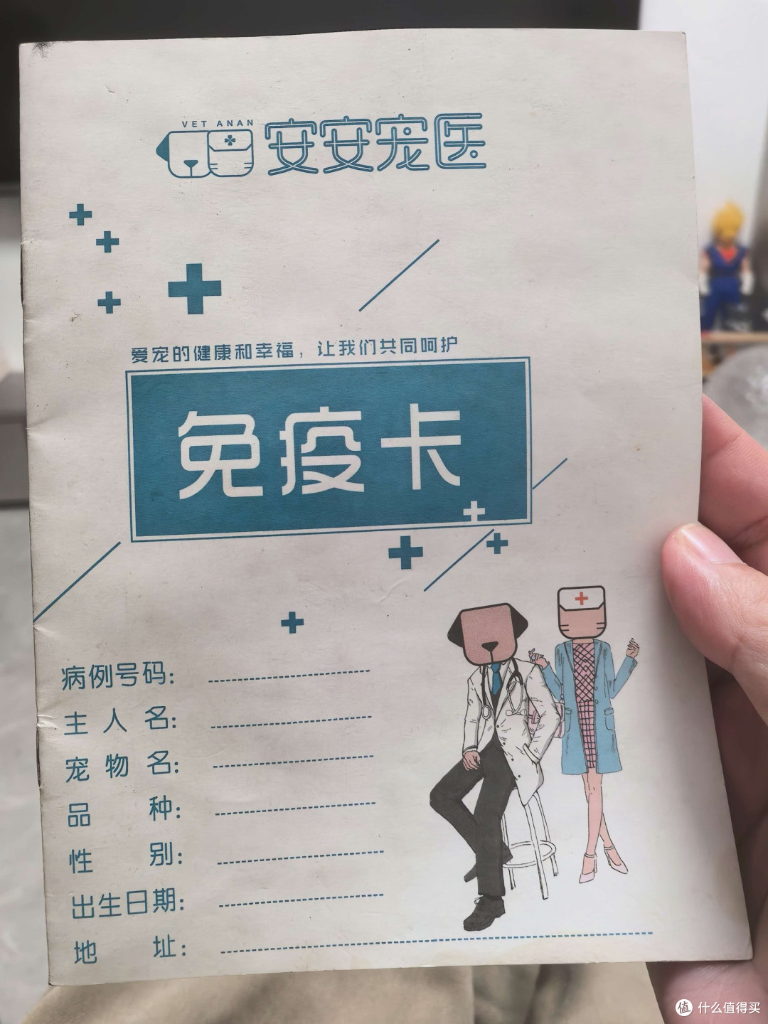养狗10年踩过的坑,全写在这了|新手养宠避坑指南