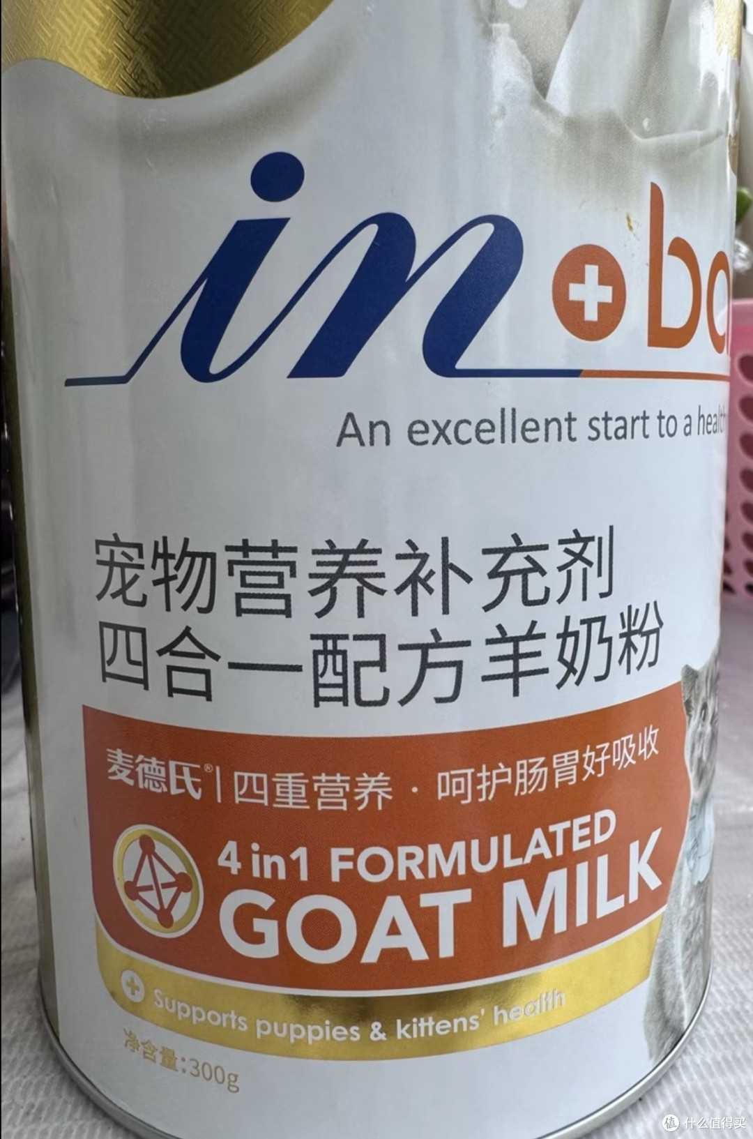 养狗10年踩过的坑,全写在这了|新手养宠避坑指南