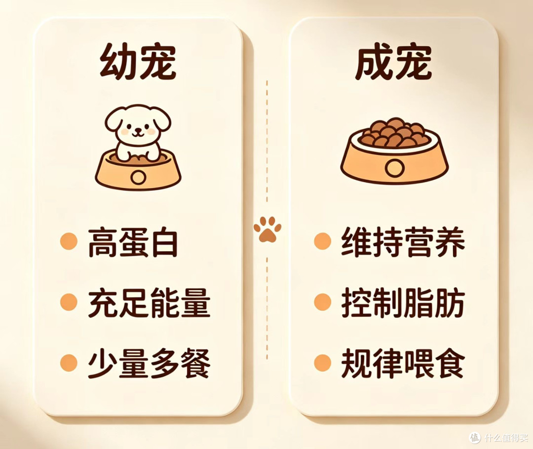 新手宠物选粮避坑指南