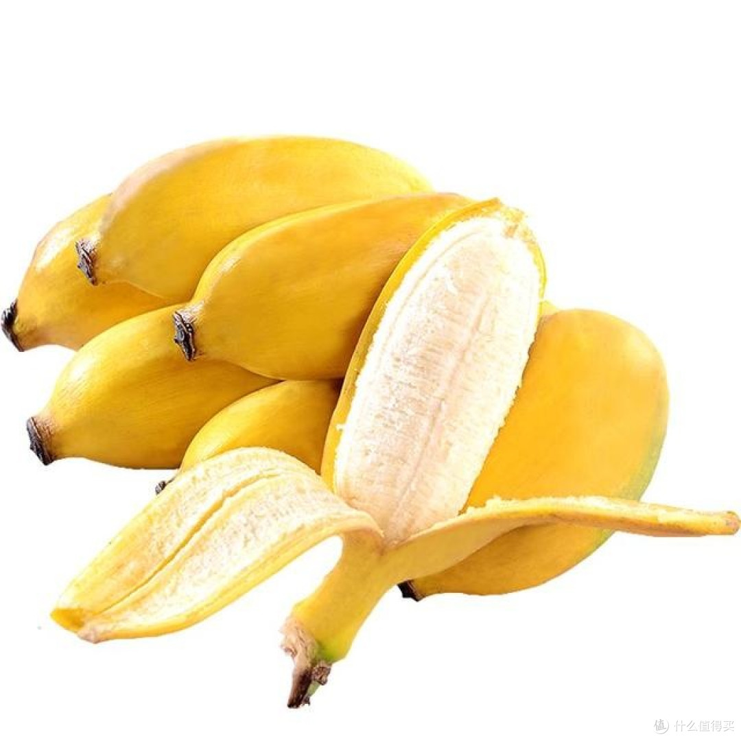 小米蕉的形态特征与风味解析