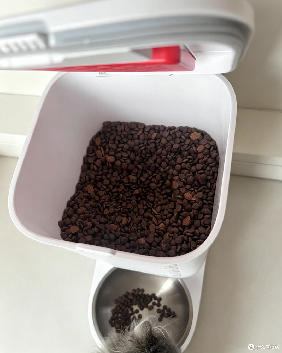 小佩智能喂食器SOLO一周体验:这笔钱花得值!