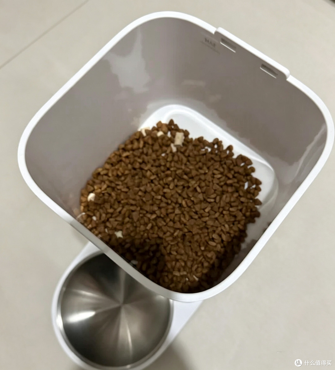 小佩智能喂食器SOLO一周体验:这笔钱花得值!