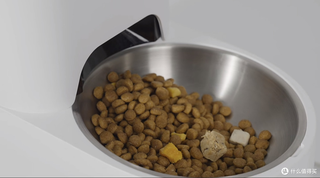 小佩智能喂食器SOLO一周体验:这笔钱花得值!