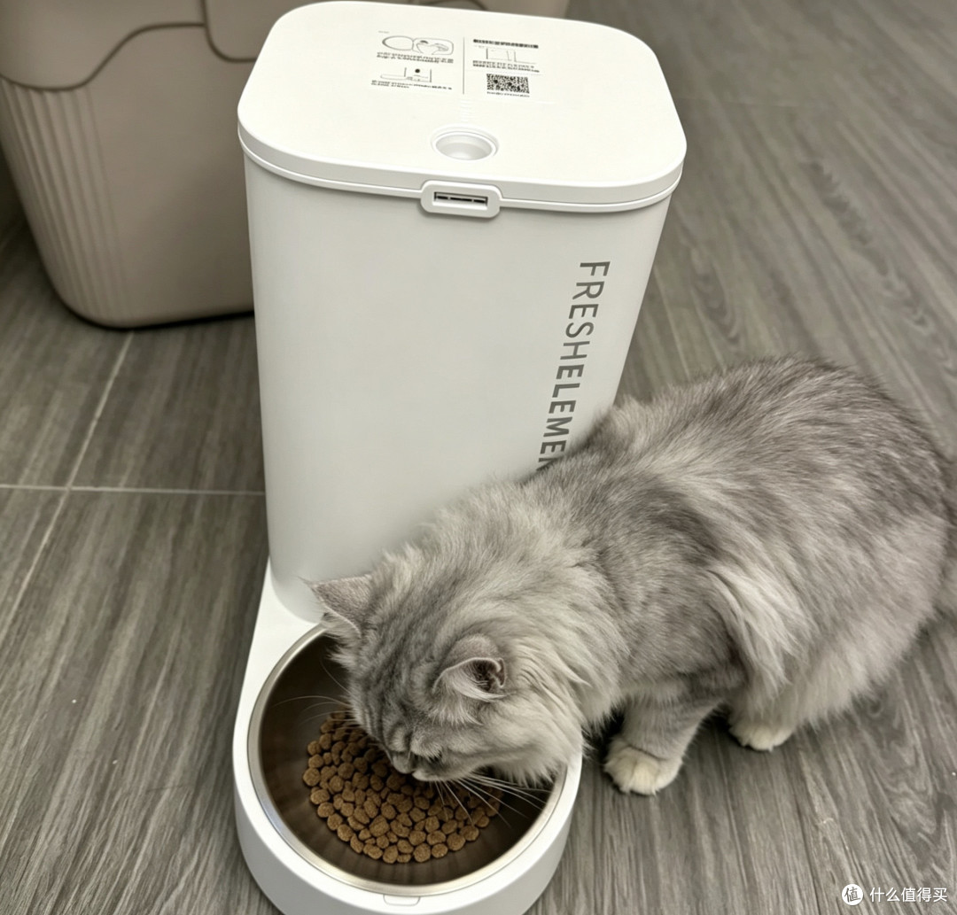 小佩智能喂食器SOLO一周体验:这笔钱花得值!