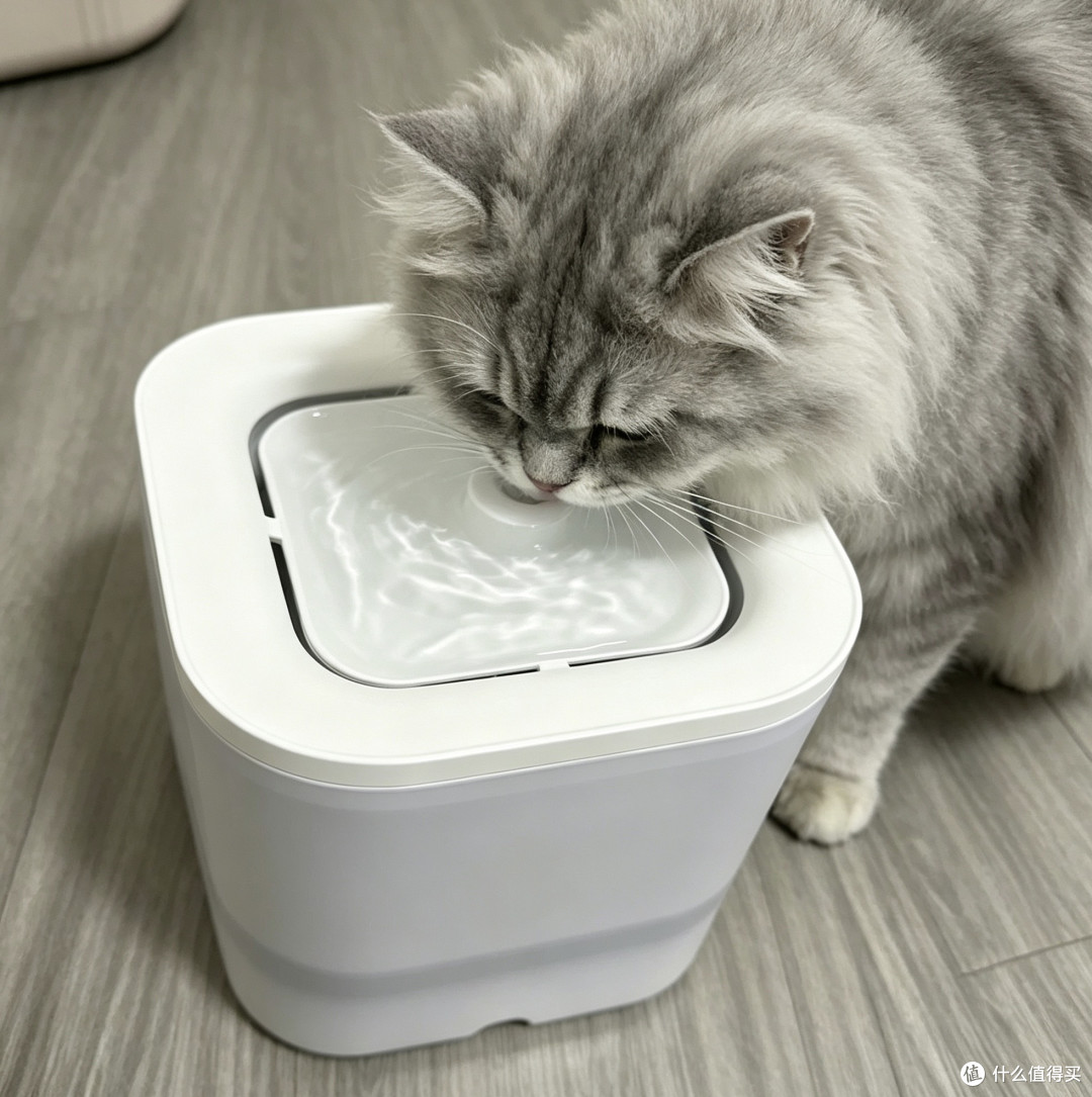 小佩智能饮水机SOLO SE一周体验：猫咪终于主动喝水了！