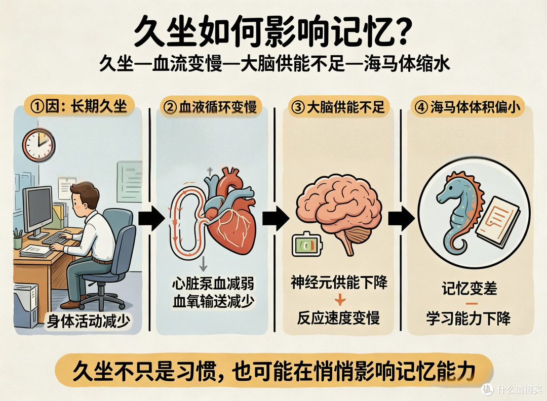 注意|每天久坐超过这个时间,大脑和屁股都可能“变呆”!