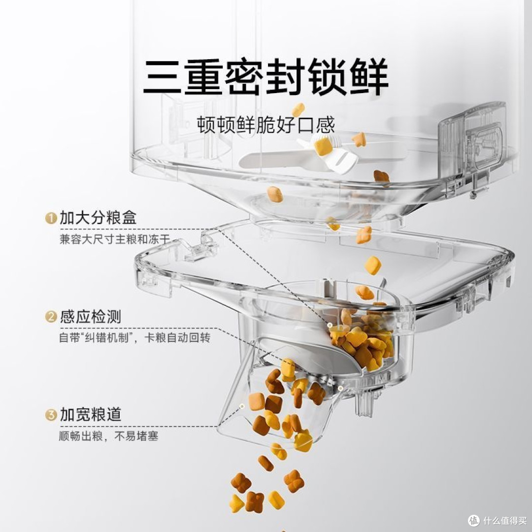 出差三天，猫没饿着，我也没失眠
