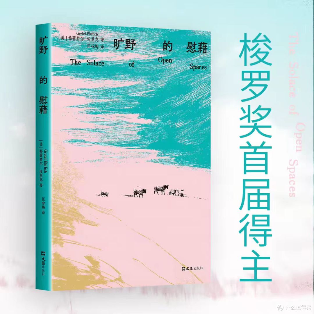 旷野的慰藉:当世界太吵,去一个比沉默更广阔的地方