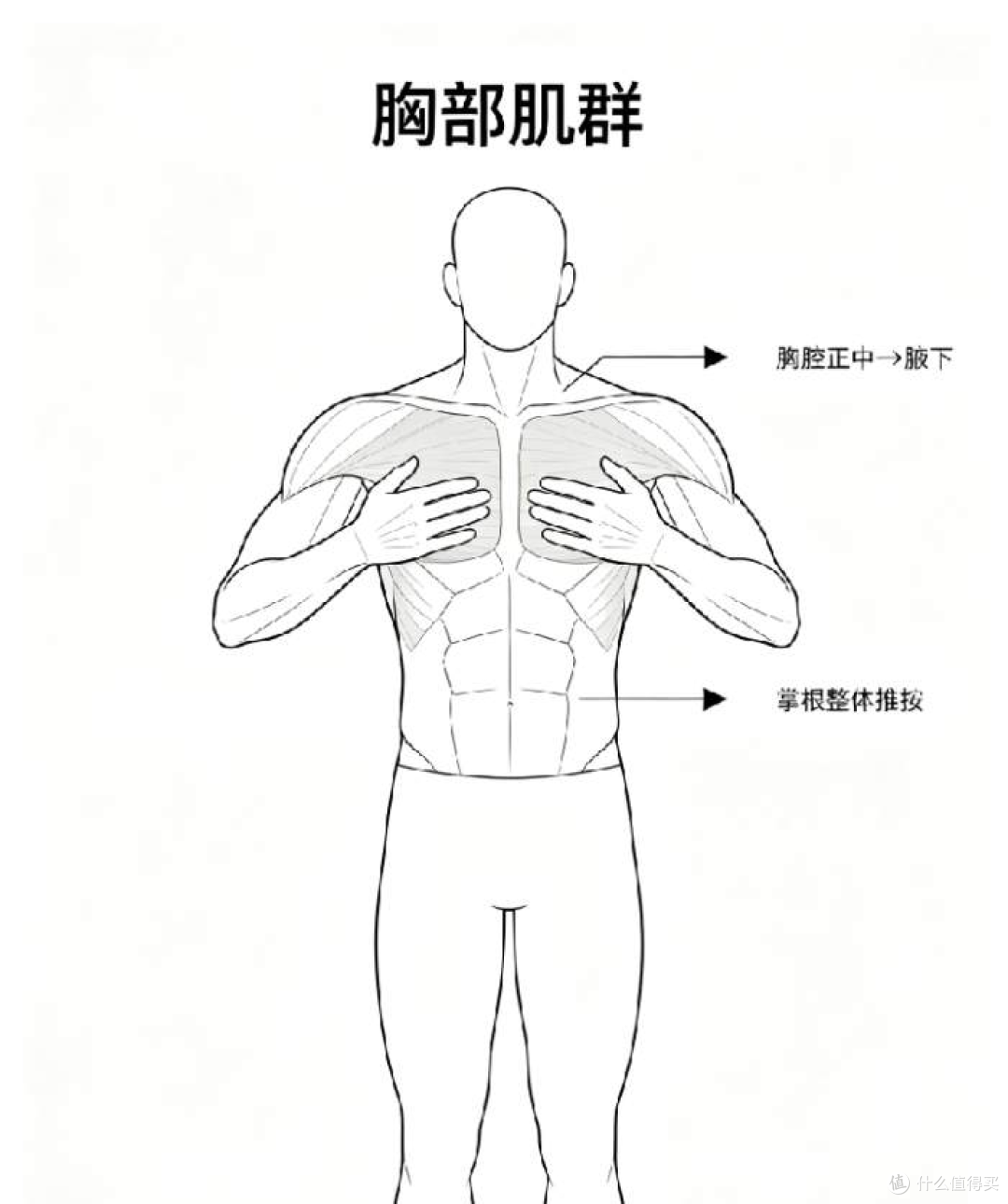 健身的正确姿势第2篇:胸部肌群徒手按摩放松(适配练胸后恢复)