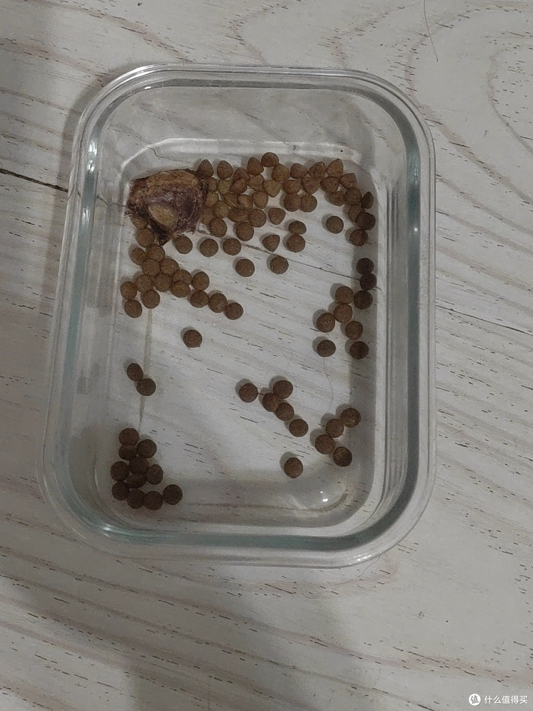 低敏无谷猫粮的肠道养护机制