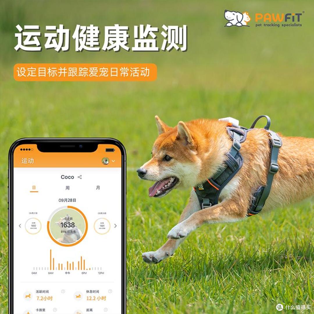 养宠家庭必备!实测Pawfit 3宠物定位器,安全感与养宠刚需双在线