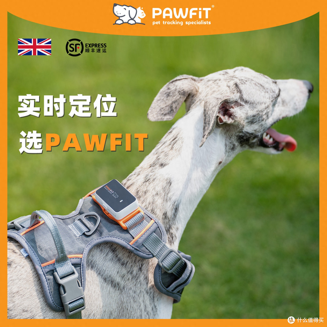 养宠家庭必备!实测Pawfit 3宠物定位器,安全感与养宠刚需双在线