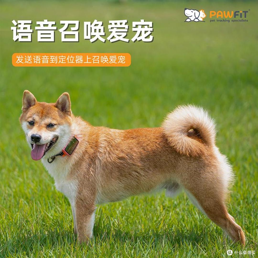 养宠家庭必备!实测Pawfit 3宠物定位器,安全感与养宠刚需双在线