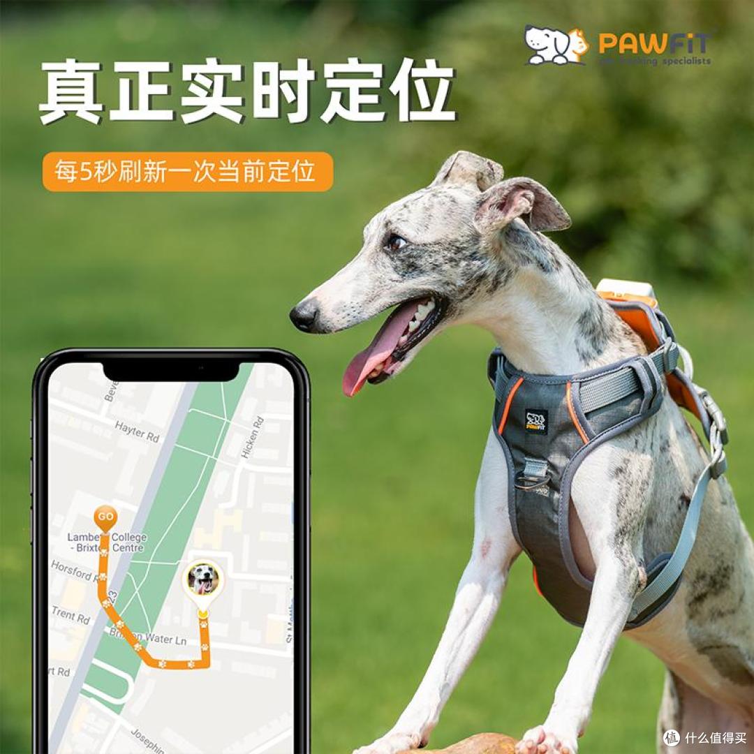 养宠家庭必备!实测Pawfit 3宠物定位器,安全感与养宠刚需双在线
