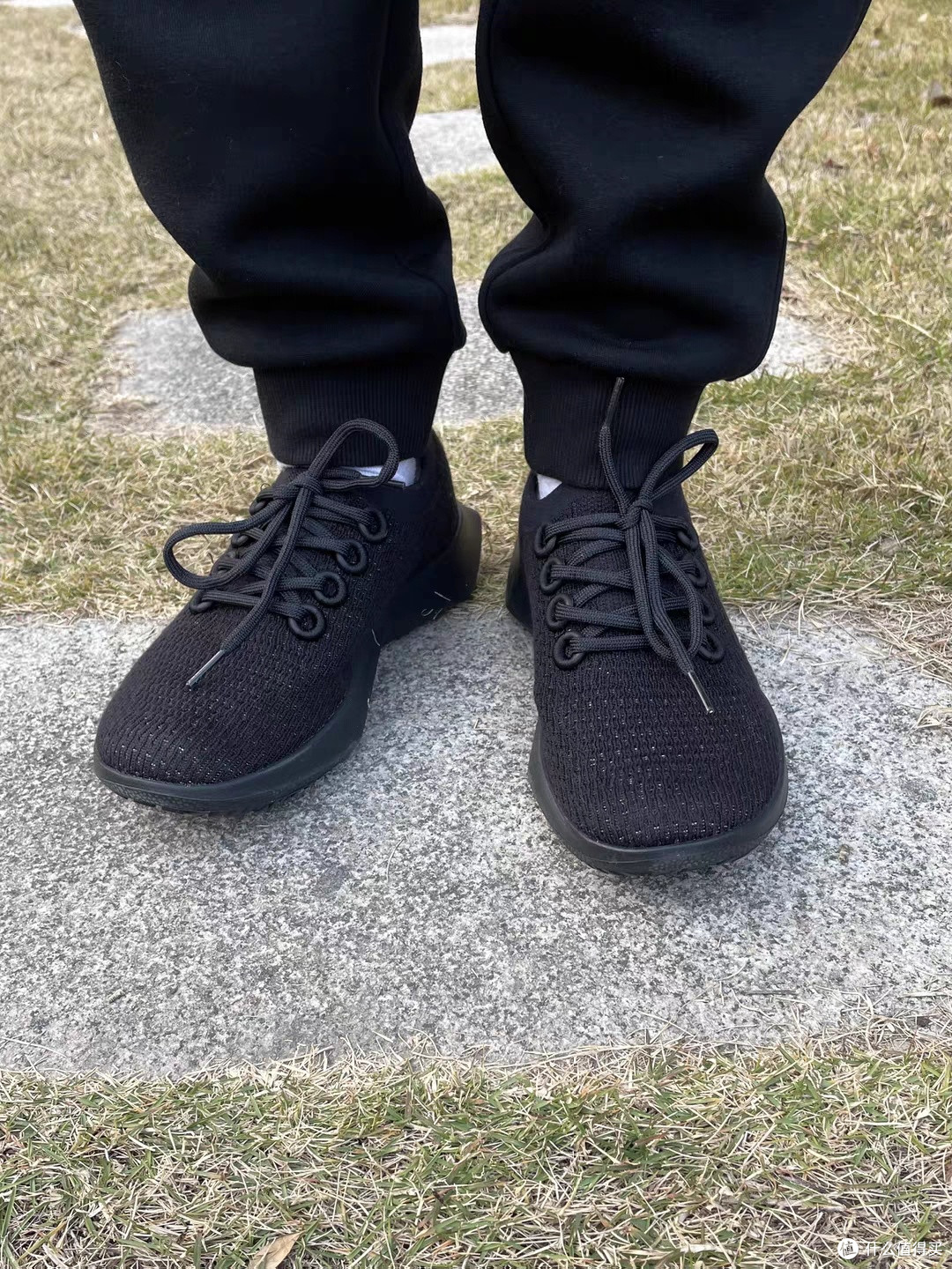 Allbirds Tree Dasher 2通勤实测
