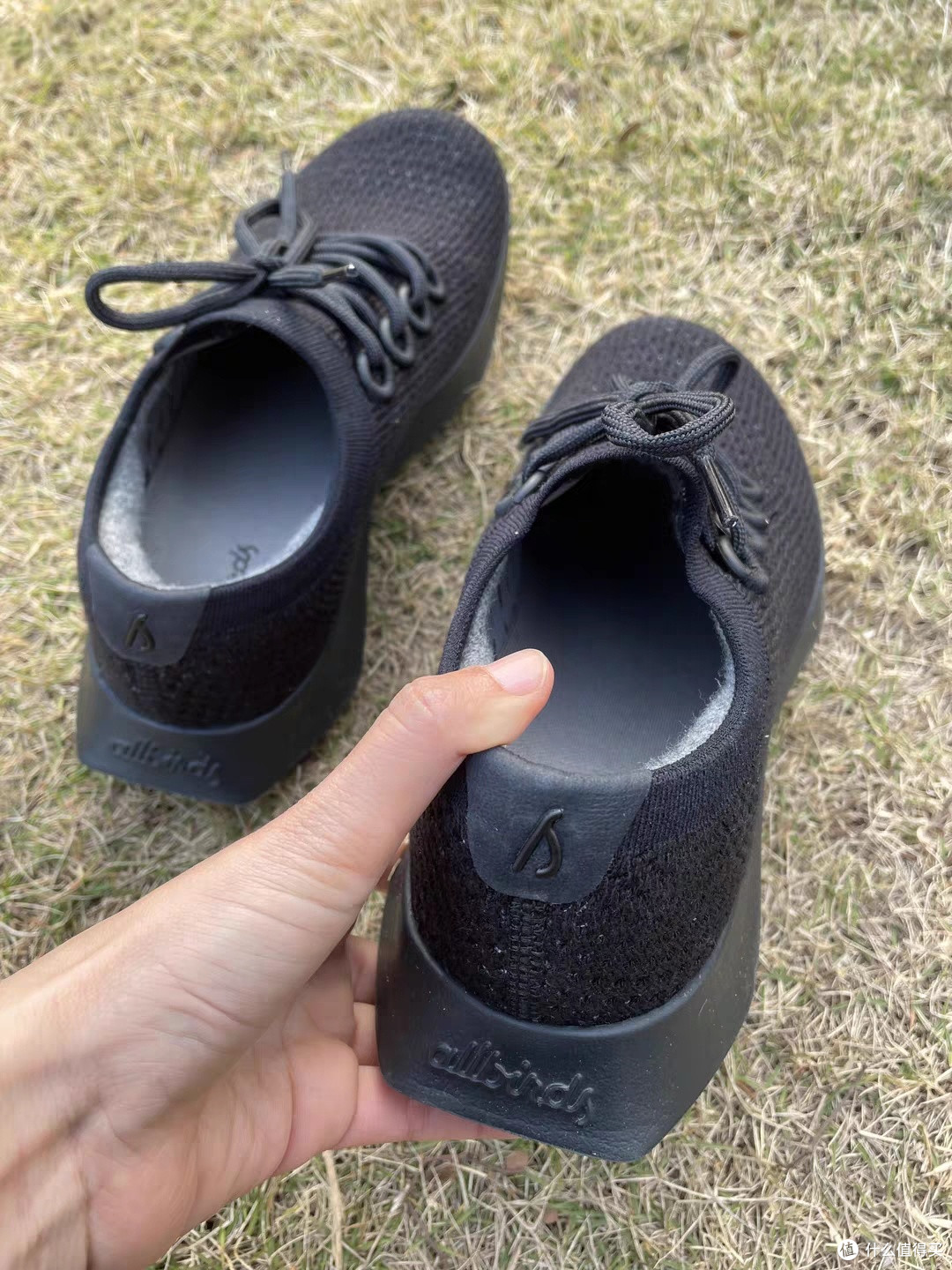 Allbirds Tree Dasher 2通勤实测