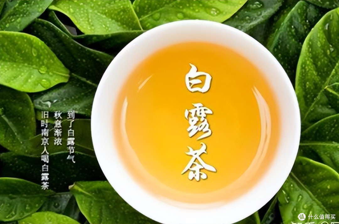 白露喝“白露茶”能防癌?别被忽悠了!真正的好处是这3点!