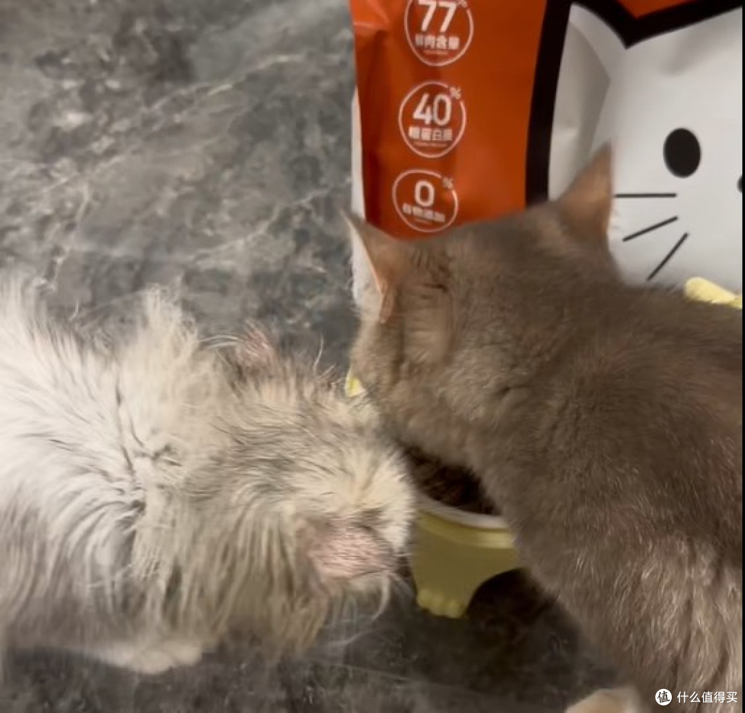 希喂烘焙猫粮配方解析:单一肉源+0谷0豆,玻璃胃到底能放心吃吗