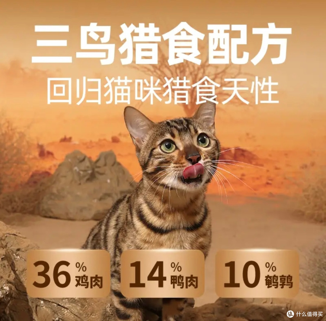 多猫混养省心好物！终于找到全家适配的猫粮