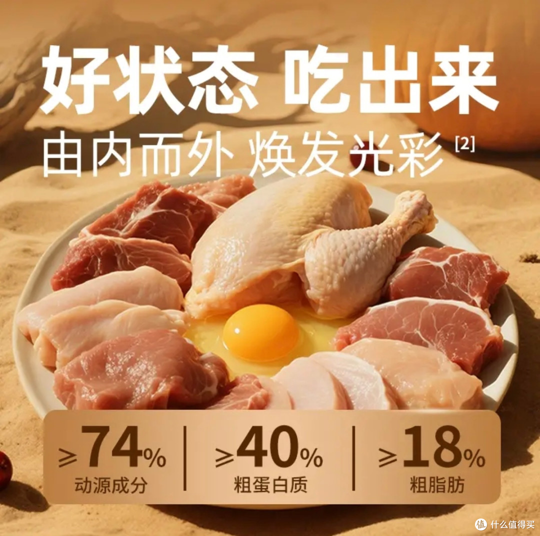 多猫混养省心好物！终于找到全家适配的猫粮