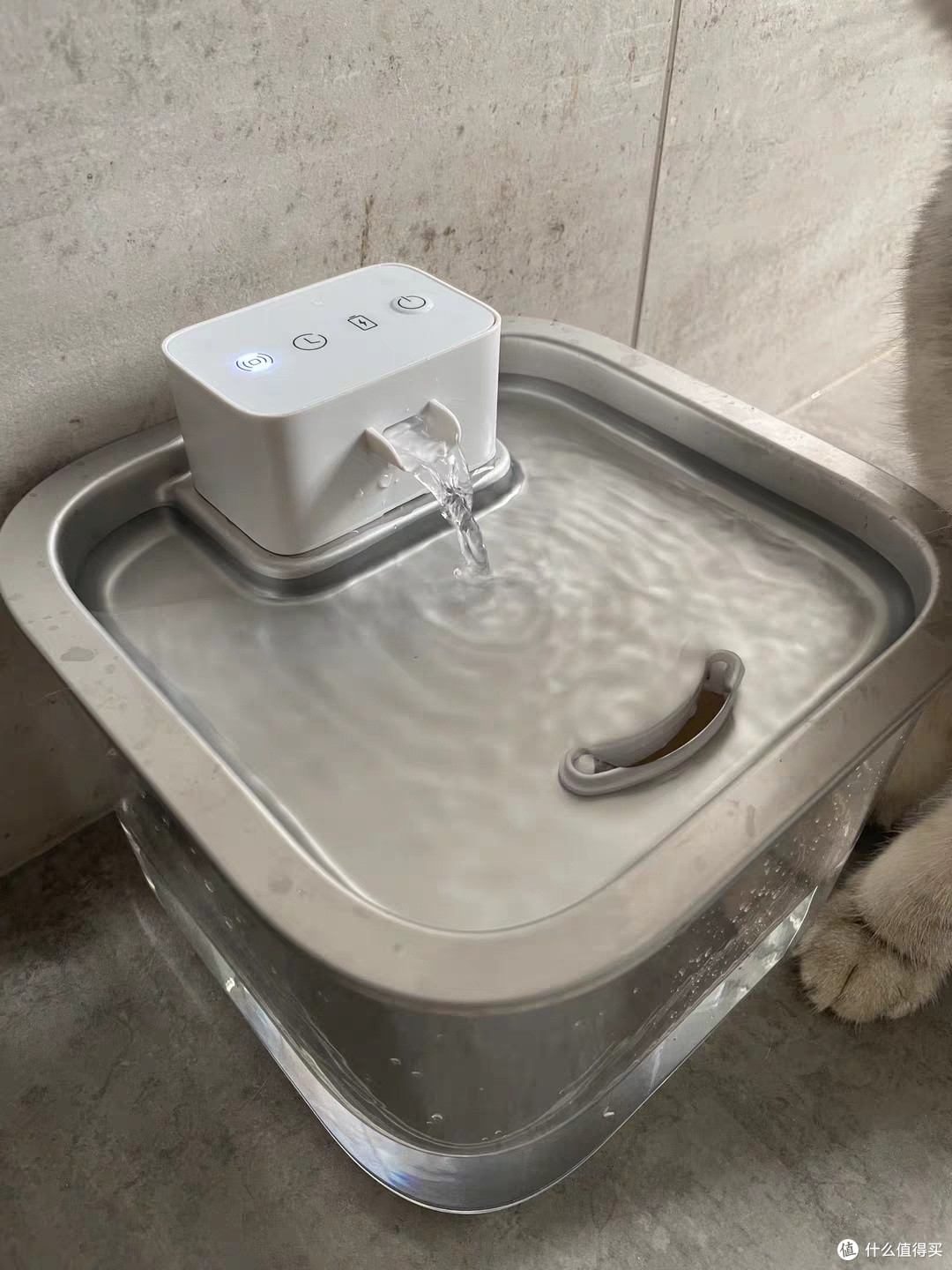 无线设计提升宠物饮水体验与卫生