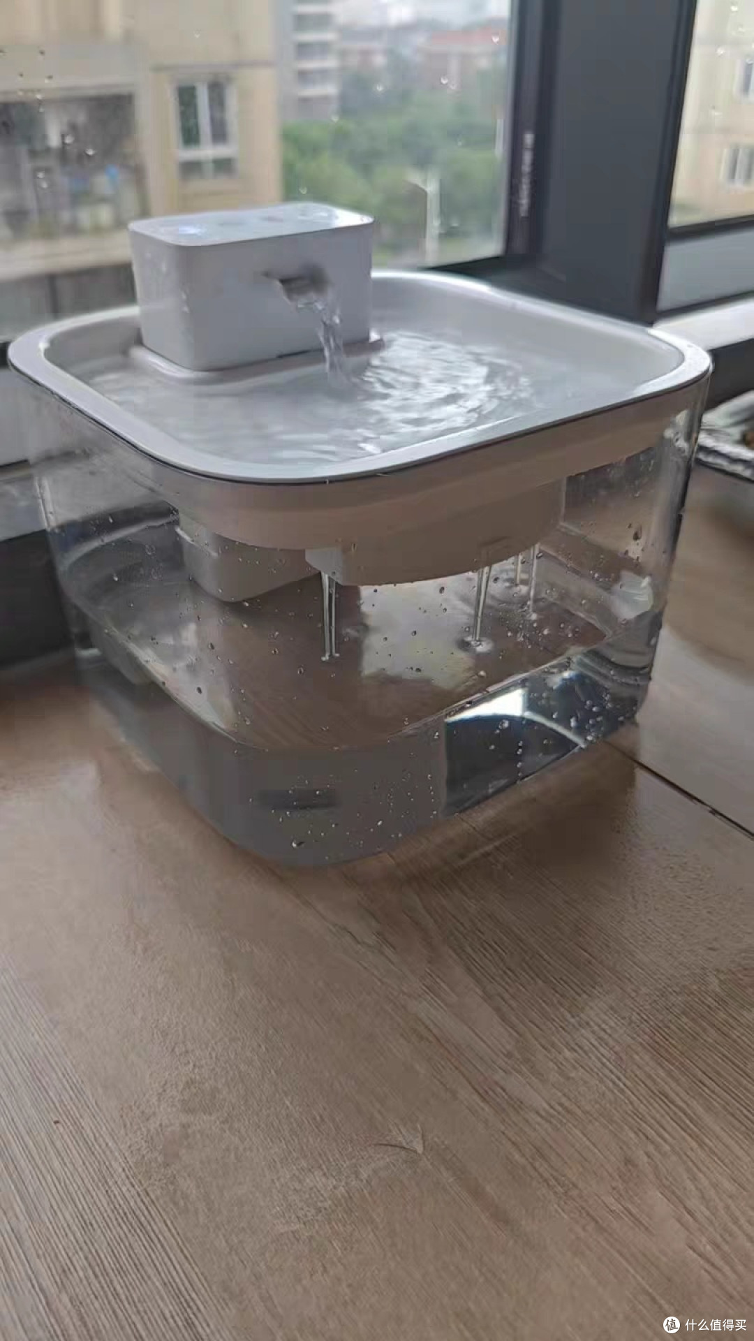无线设计提升宠物饮水体验与卫生