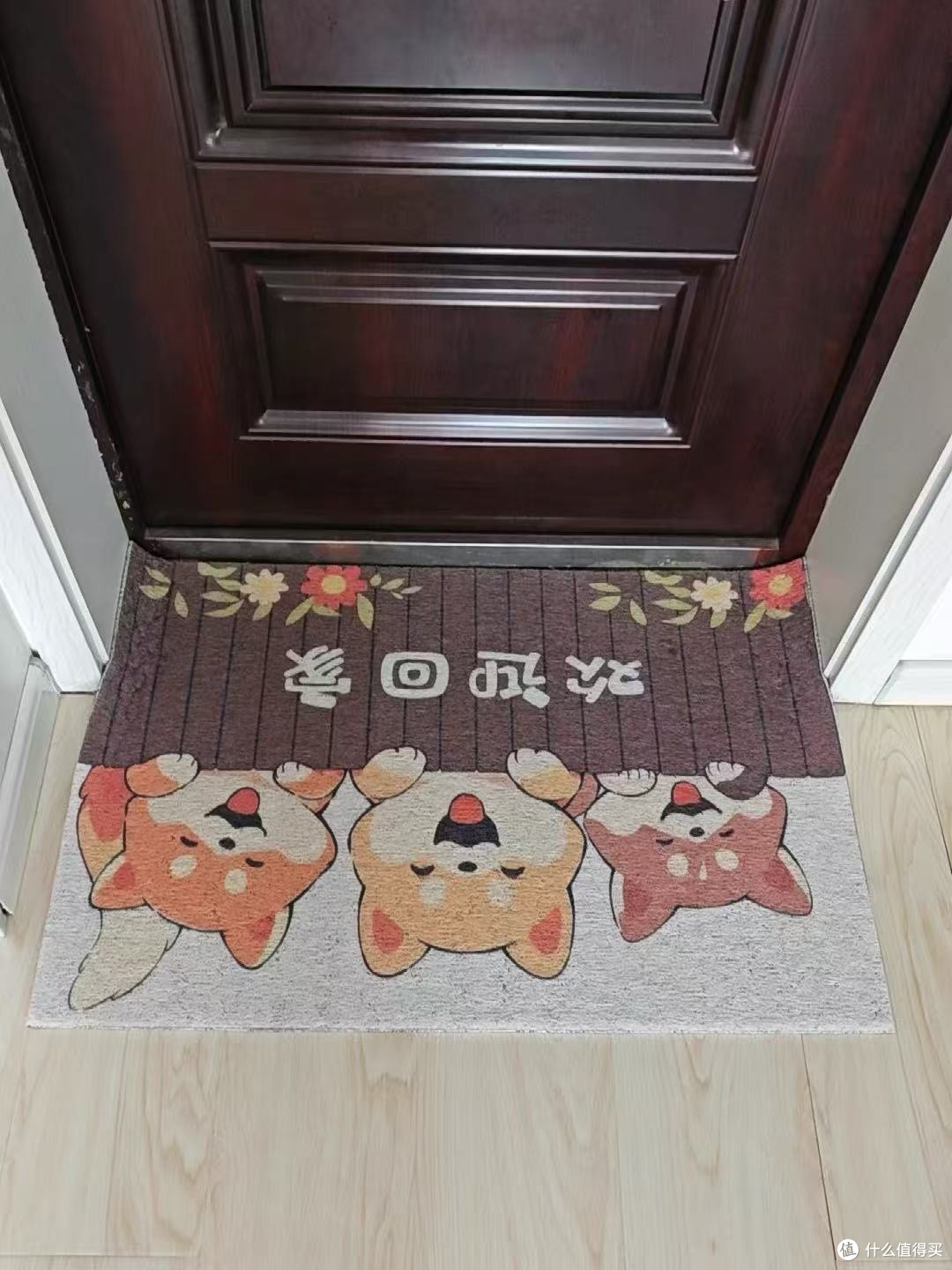 耐踩耐磨丝圈地垫超实用