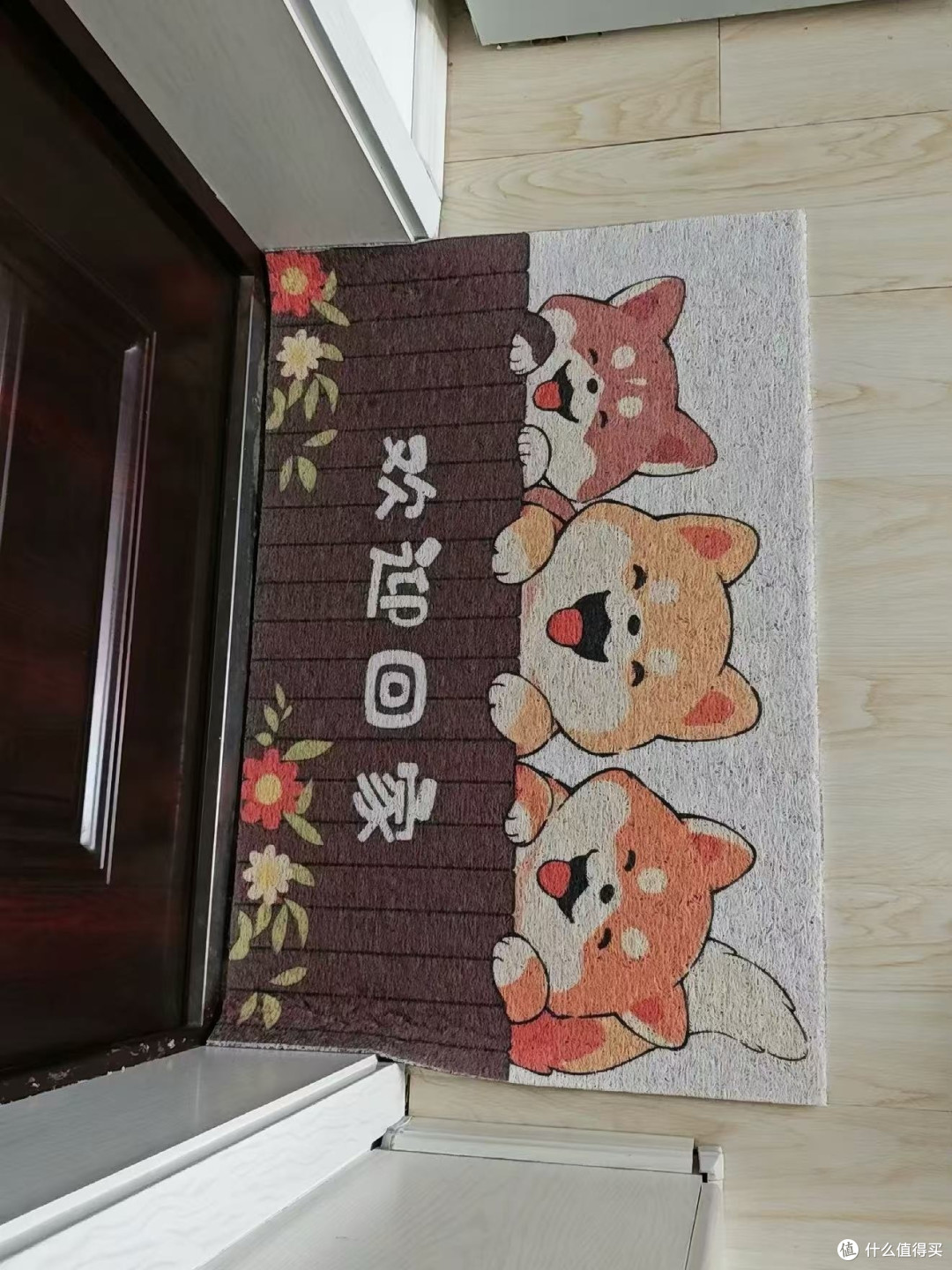 耐踩耐磨丝圈地垫超实用