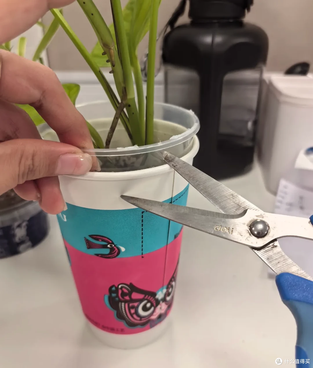 9个网友突发奇想,简直天才,狠狠学习