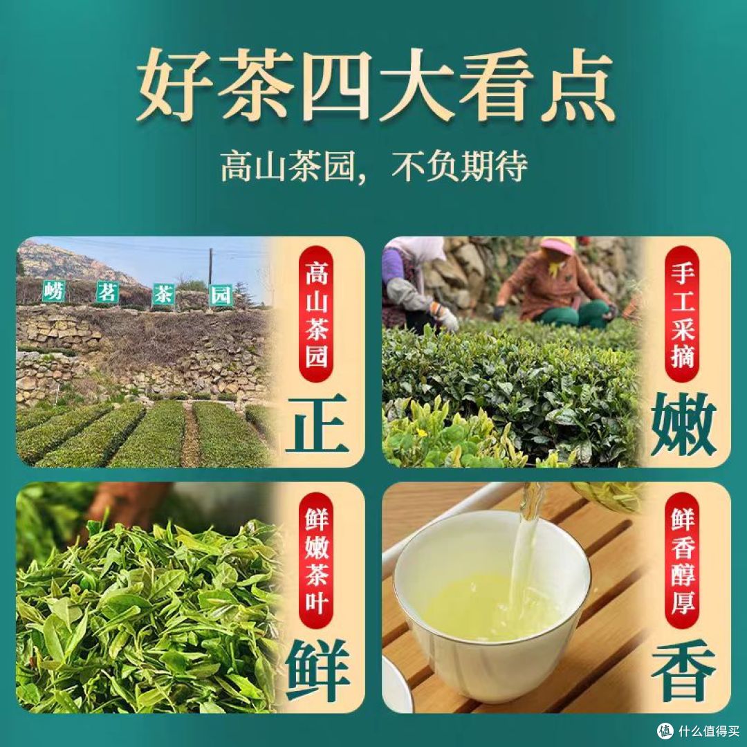 青岛崂山绿茶｜豌豆香太绝的日常口粮🍵